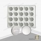 CR2450 Lithium batteries (20pcs.)